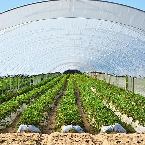 Miniatura 3 de Láminas de polietileno de 5 x 200 pies, láminas de plástico de 4 mil, barrera de vapor, lona negra para malas hierbas, rollo de lámina de plástico