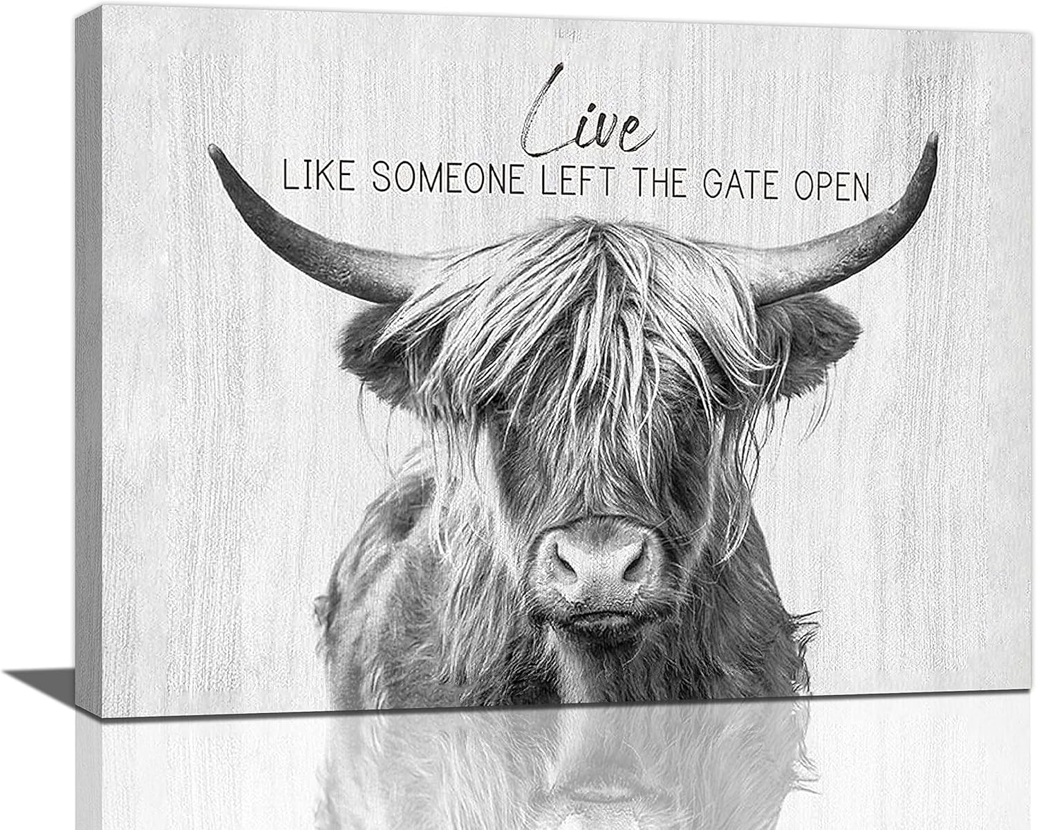 Taimeng Farmhouse Highland Cow Wall Art Black and White Cow