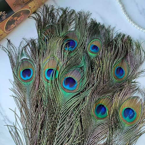 Miniatura 3 de THARAHT 24 piezas de plumas de pavo real largas naturales a granel 32-35 pulgadas 80-90 cm para decoración de jarrón, manualidades, boda, hogar,