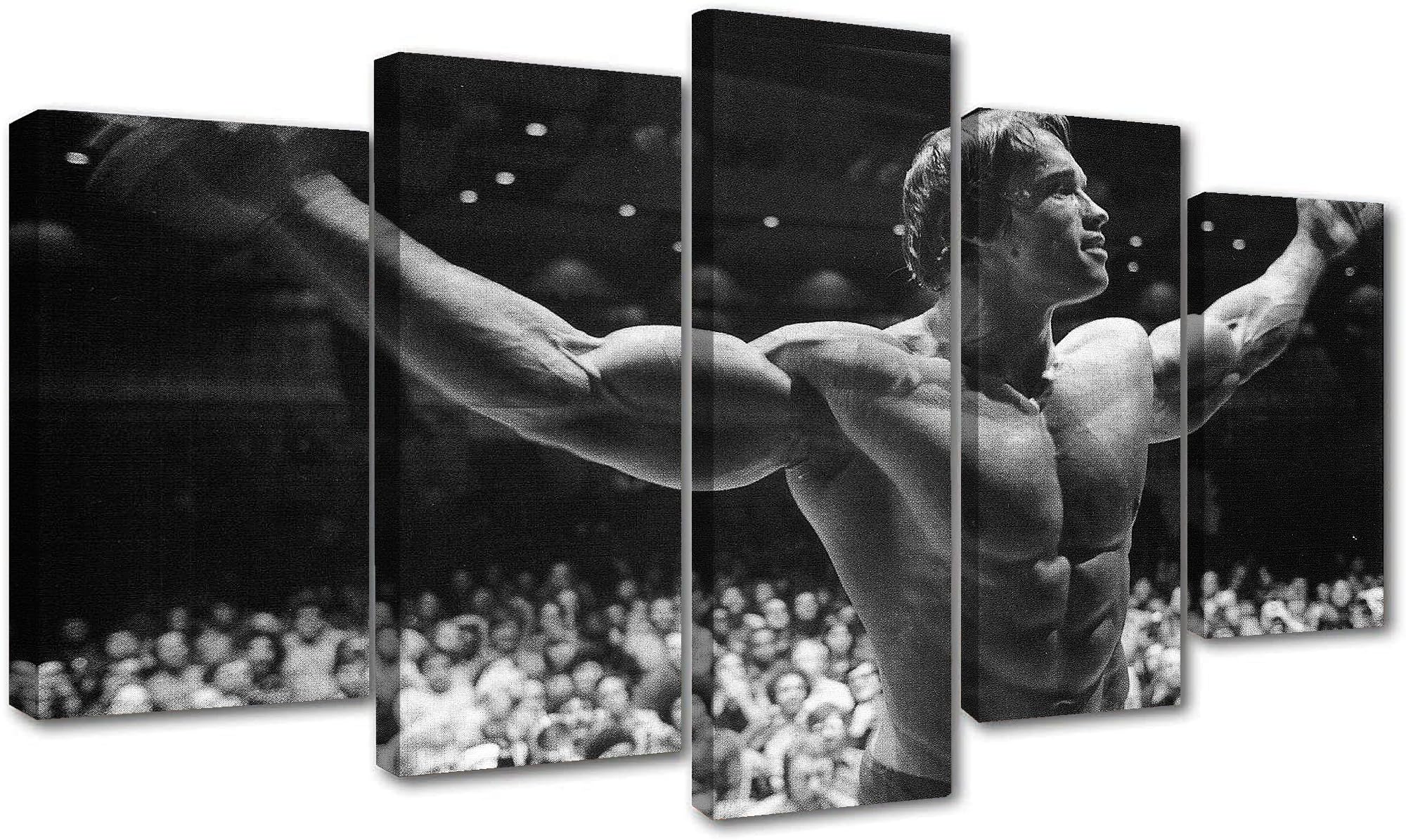 Oil Painting Canvas Framed Arnold Schwarzenegger Mr. Olympia Body Bulder Art Set of 5 Ready To Hang (Framed)(59x33Inch)