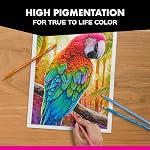 Prismacolor Premier Coloured Crayons, crayons à noyau doux pour les livres de coloration adultes, dessin et croquis, assortis, 12 Nombre