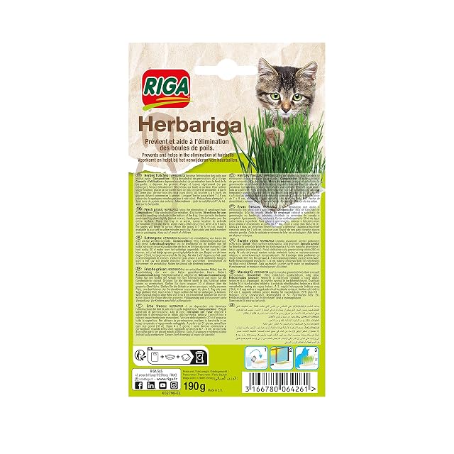 Hierba para Gatos, 150g de substrato de germinación, 40g de Cebada