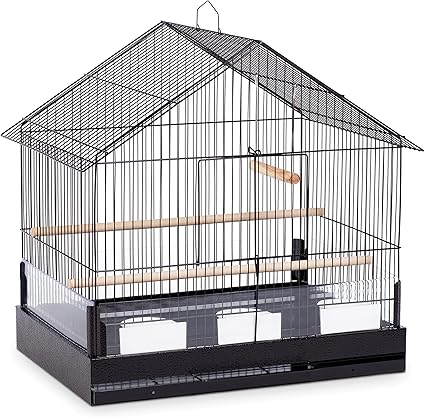 parrot cage price