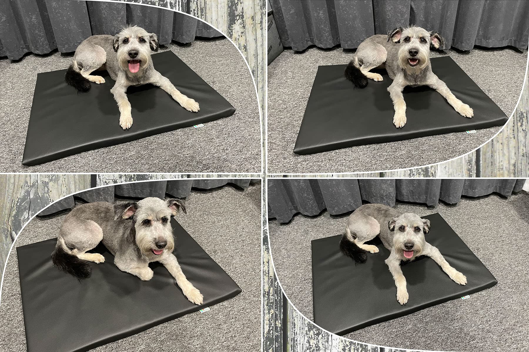 FORTISLINE Hundematte XL 120x90 cm - Hundebett aus Kunstleder - Hundekissen abwaschbar und pflegeleicht - Liegekissen für Hunde - robuste Tiermatte für Zuhause, Auto und Reise