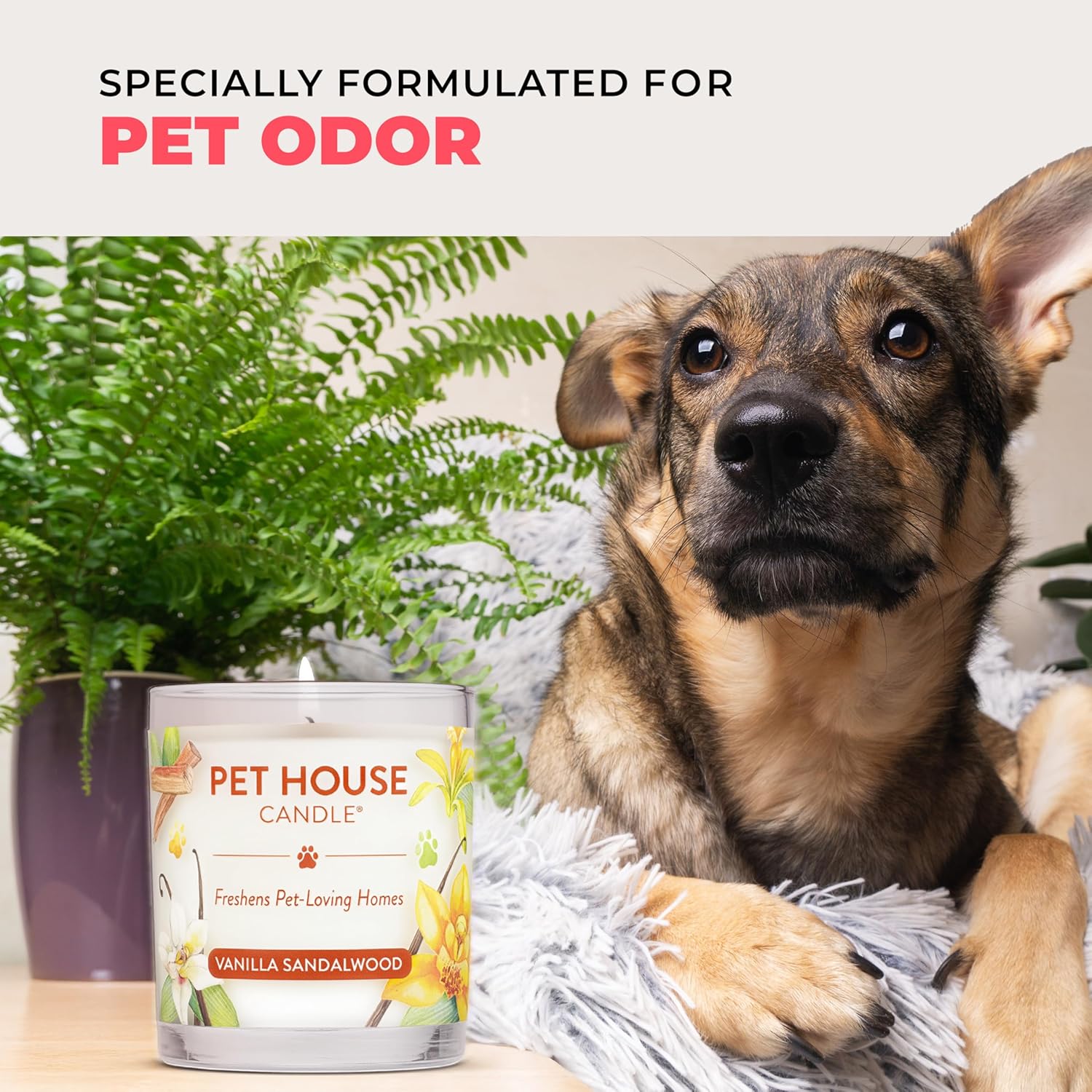Pet House Candles, Clean Long-Burning, Scented Pet Friendly Candles, Plant-Based, 60 Hour Burn Time - Fresh Cut Roses, 9 oz