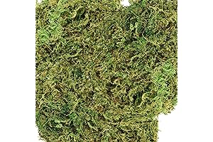 Decorative Artificial Moss for Plants
