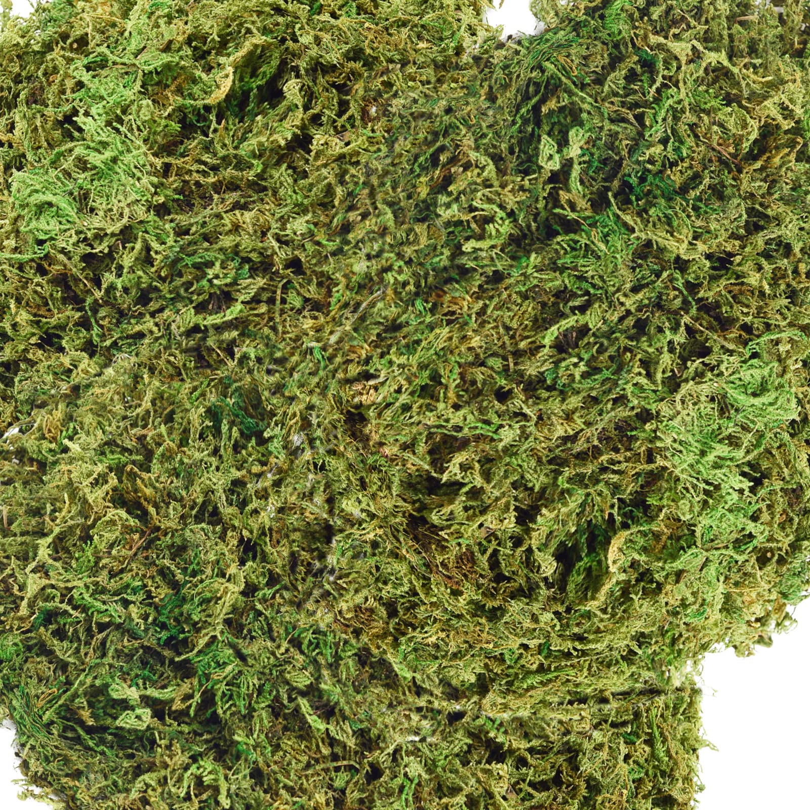 Muschio finto per piante finte, muschio artificiale per artigianato, muschio finto per piante finte e muschio deuroativo fartificiale verde muschio