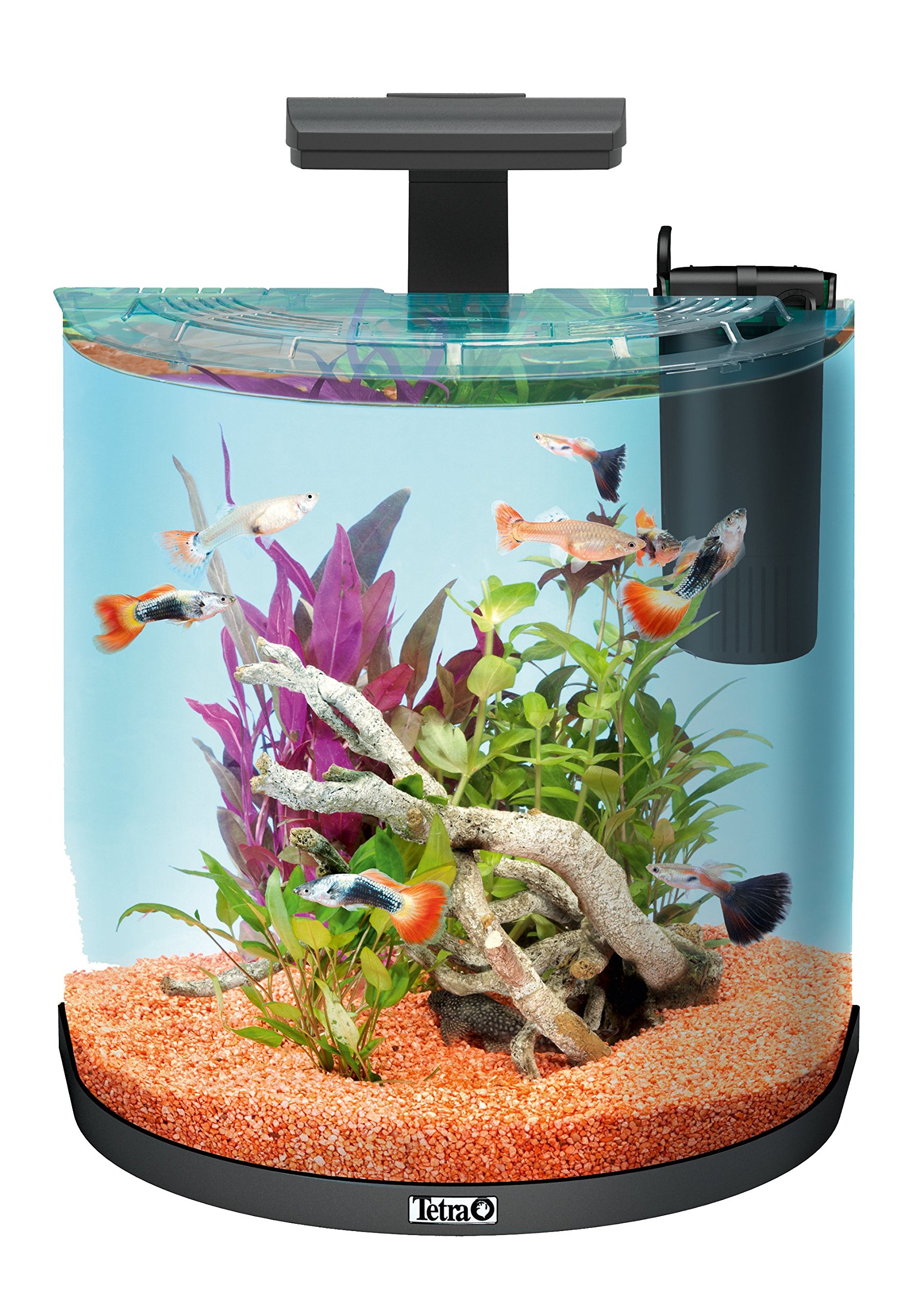 Tetra Starterline LED Goldfish - Acquario Completo Da 30 Litri Per Pesci Rossi - Foto 9