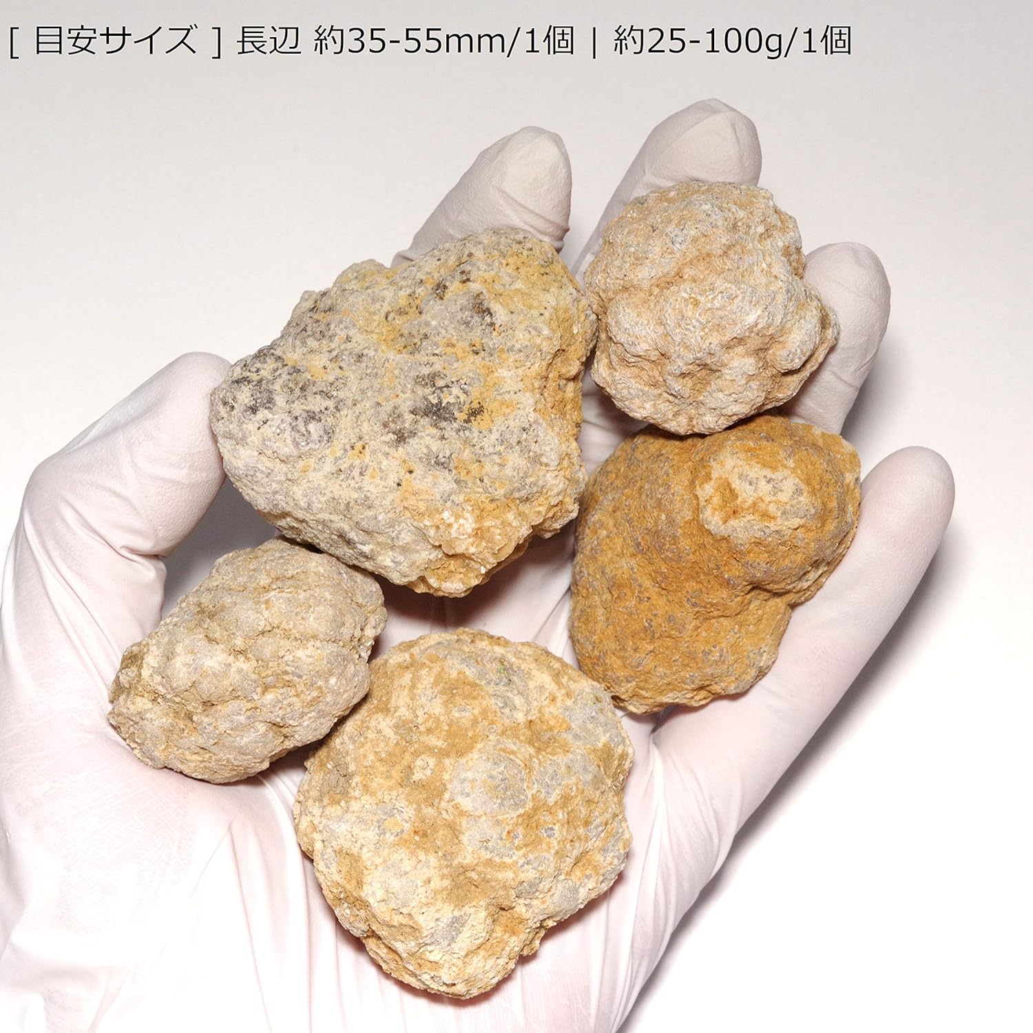 人気ブランドを 送料無料 Xxtoys クリスタルジオード 水晶ジオード クラッキング 自分で割る 鉱石発掘 晶洞 Geode 天然石 10個セット 最大30 Off Centroprofesorjuanbosch Com