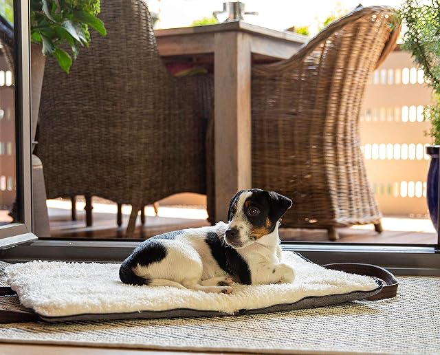 Cama de Viaje para Perros Sleepy Fox® - Cama Plegable para Perros con Correas para los Hombros