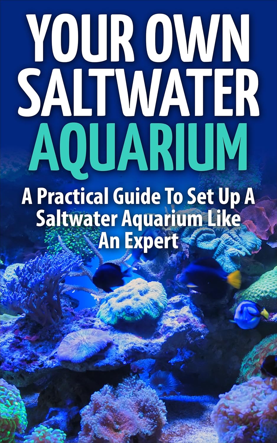 Saltwater Aquarium Your Own Saltwater Aquarium A
