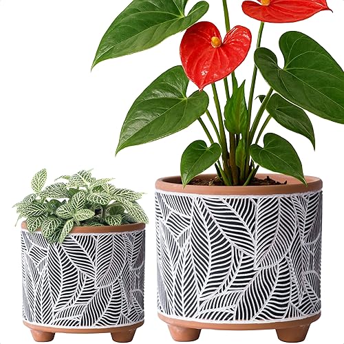 Juego de 2 macetas de terracota, 4.4 pulgadas y 6.4 pulgadas, patrón de hojas con agujero de drenaje, terracotanegro, 31-953-H-2