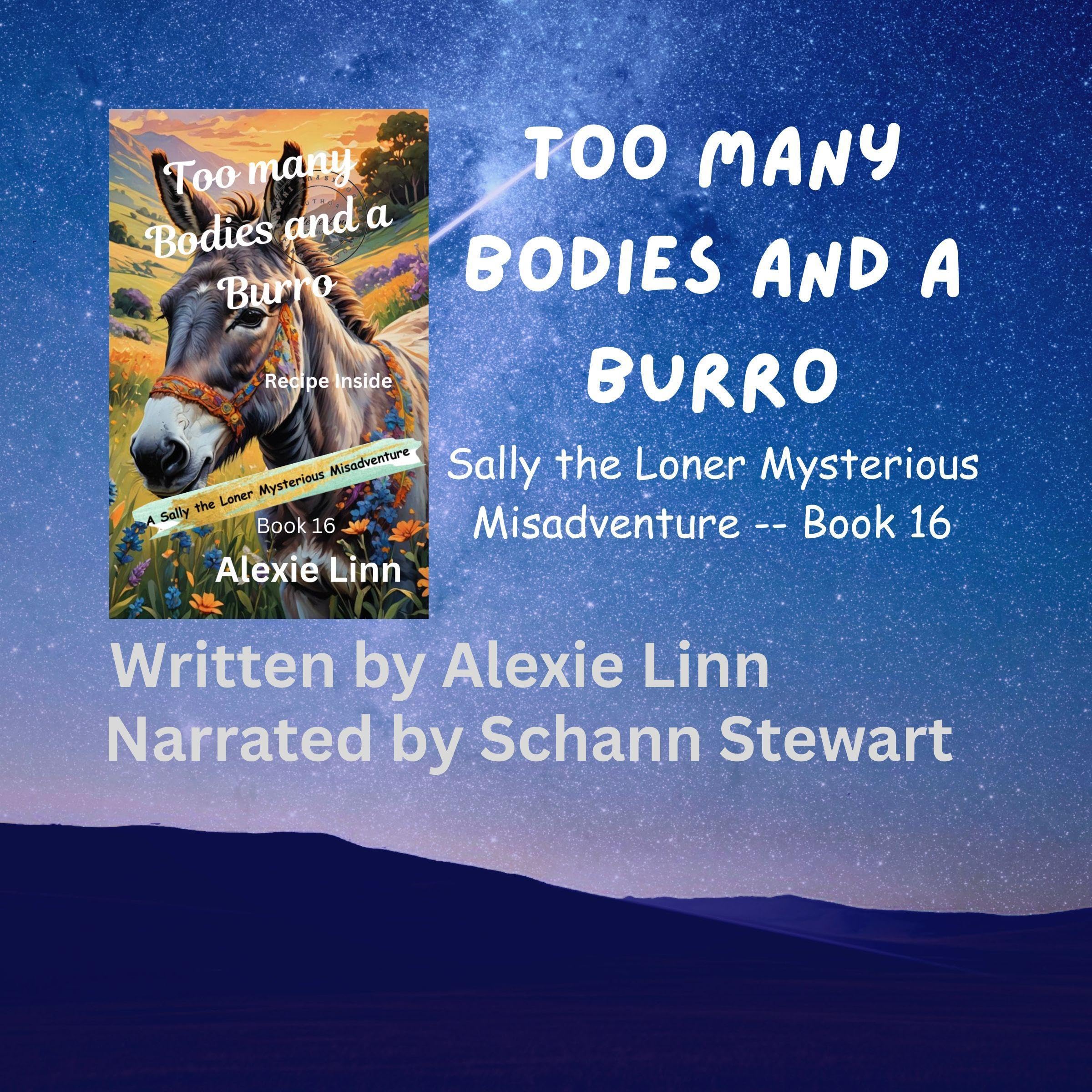 Cover art for Too Many Bodies and a Burro