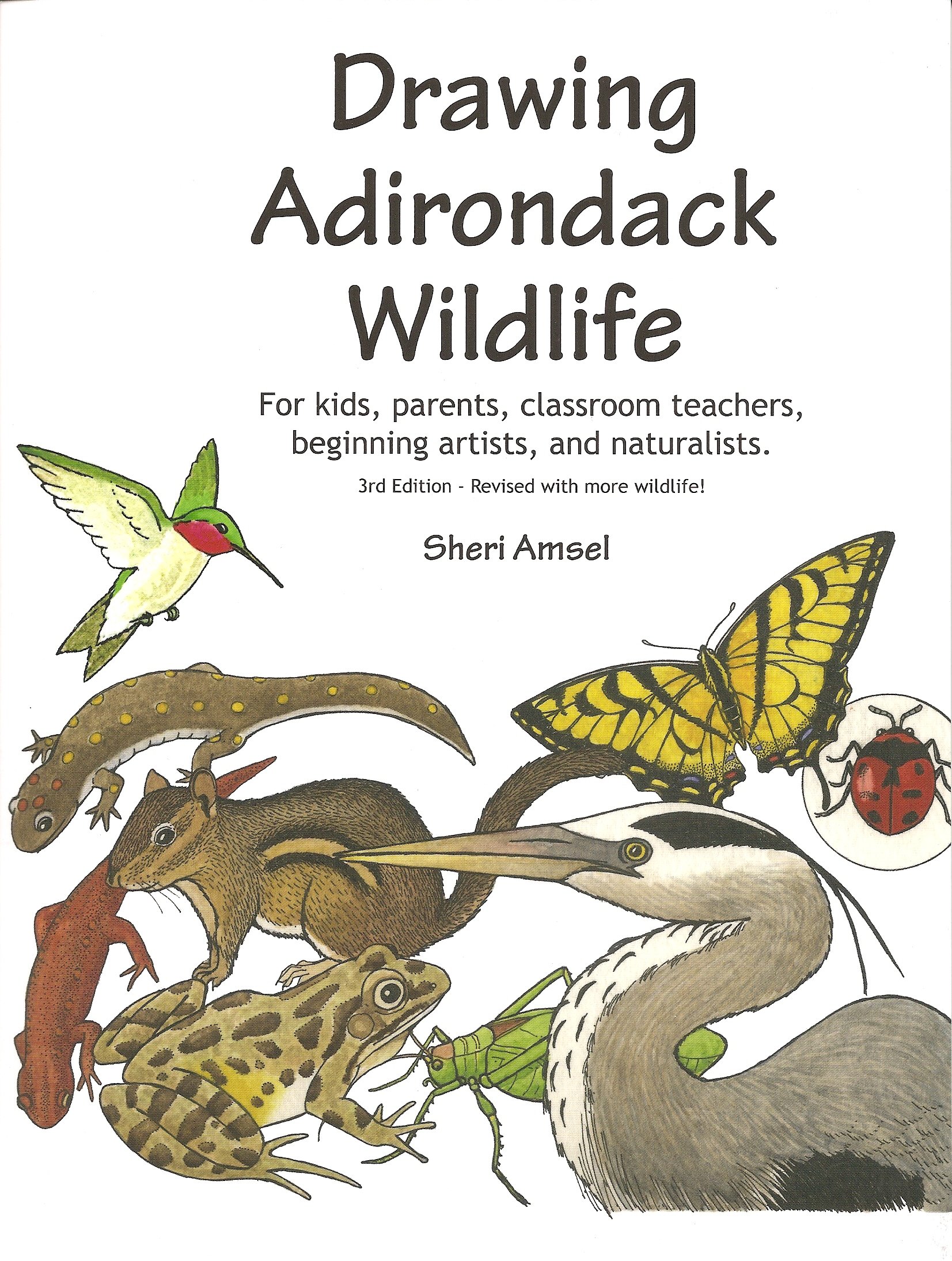 Drawing Adirondack Wildlife