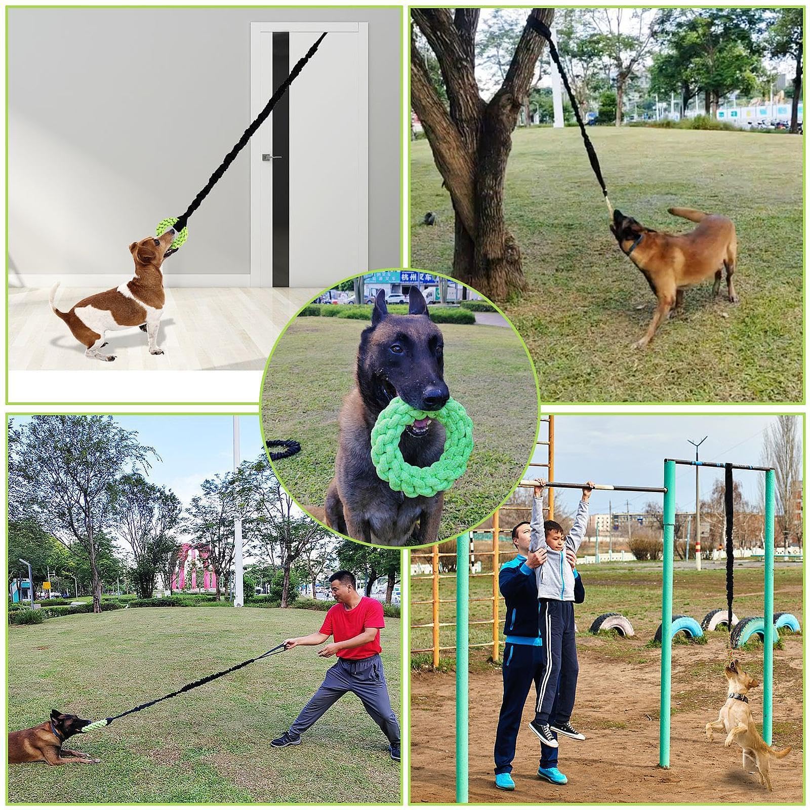 Jouet élastique pour Chien à Suspendre Aux Arbres, Corde de Jeu, Exercice pour Chiens de Toutes Tailles, Même Les Plus Turbulents, Jeu de à, Anneau Vert