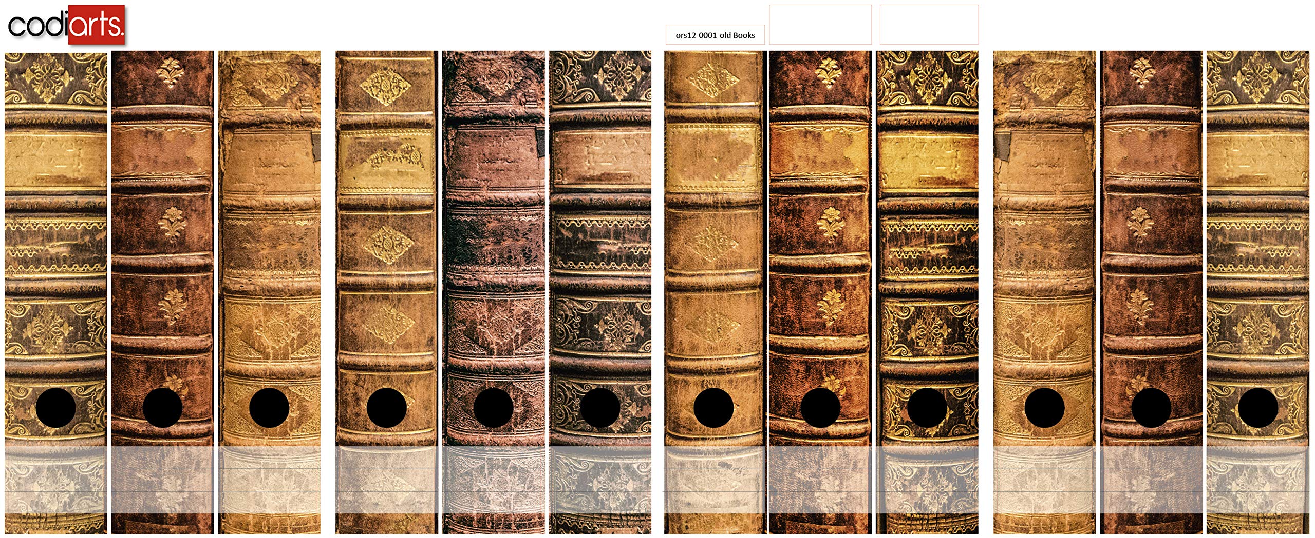 Lot d'étiquettes autocollantes pour 12 dossiers larges, perforées avec trou pour doigt, dos large, motif vintage, livres anciens