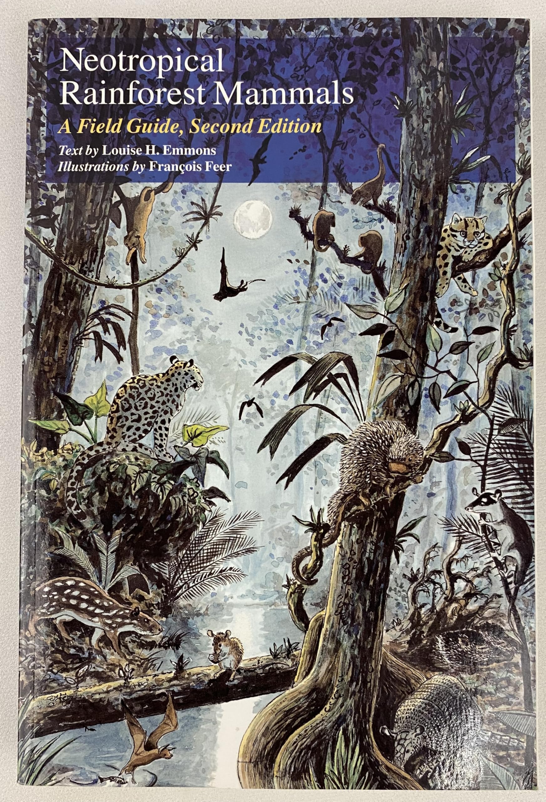 Neotropical Rainforest Mammals: A Field Guide