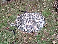 Review Image by Jesse James Jesse James