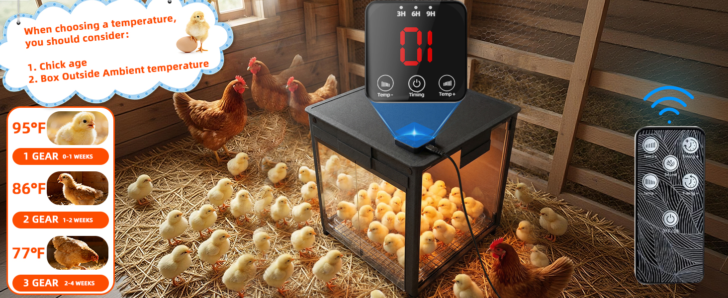 Broodter-Aufzuchtbox Für Küken – Mit 3-stufigem Heizkissen, USB-Betrieb, Sichtfenster, Für Entenküken & Hähne