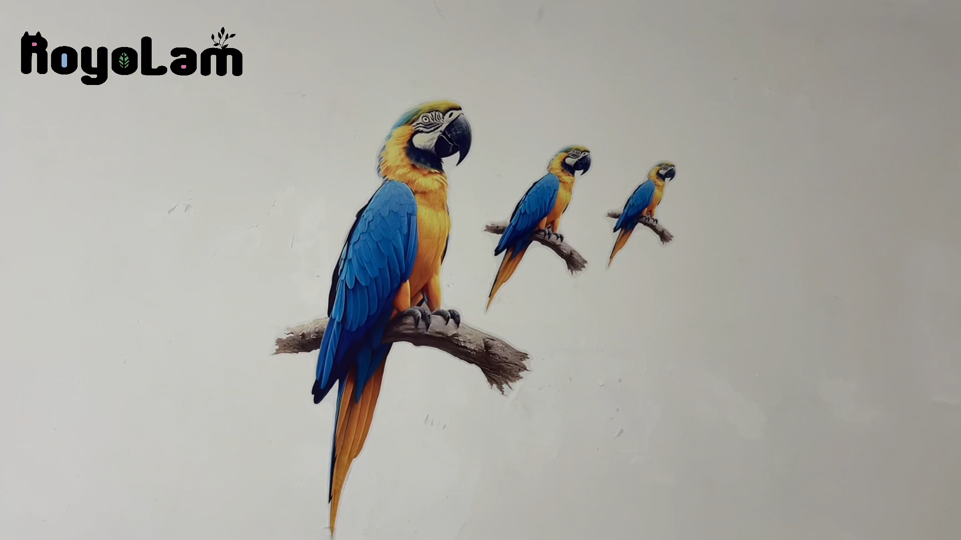 Vinilo decorativo de loro guacamayo azul y amarillo miniatura 7
