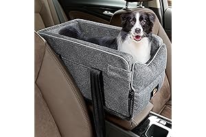 Dog Seat for Small Dogs