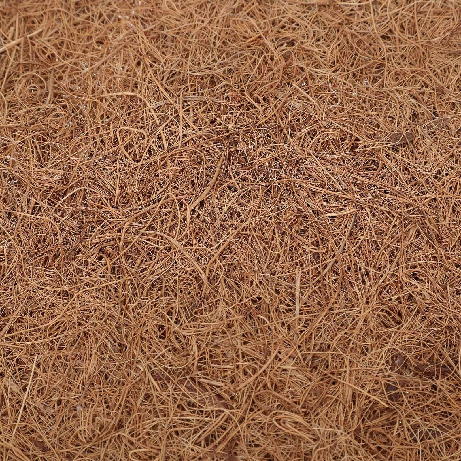 4 Piezas Estera de Cocos para Reptiles y Lagartos, Alfombra Natural y Confiable de Fibra de Color Café, Adecuado para Cría en Casa y Tiendas de Mascotas