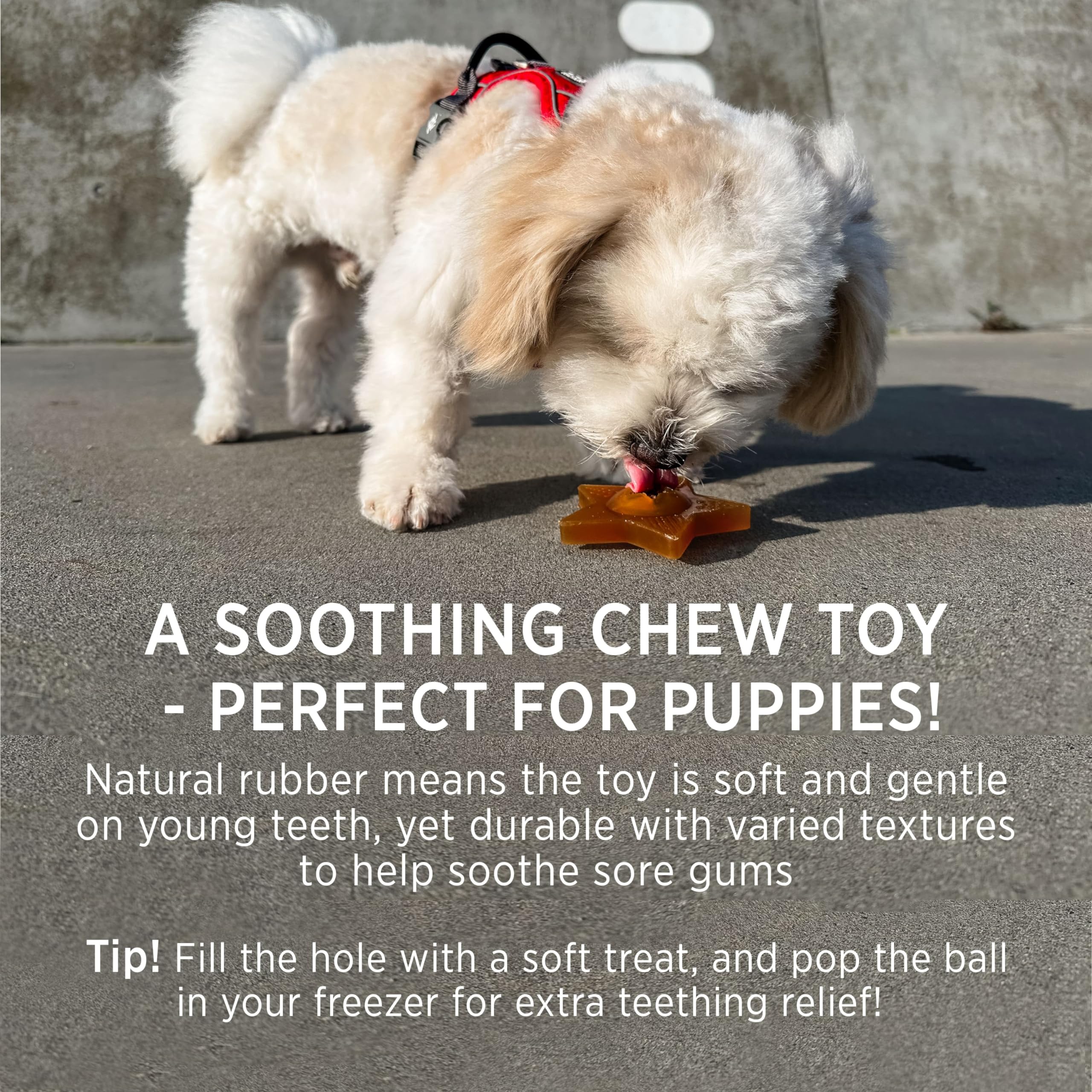 Hevea Star Activation Dog Treat Toy, Natural Rubber Puppy Chew Toy for Sore Gum Relief - Image 4