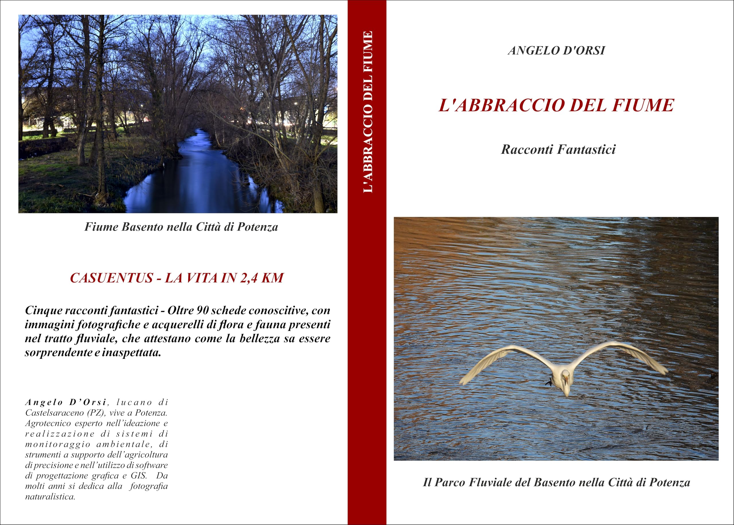 Livre Basento Potenza : ouvrage broché sur le Parco Fluviale italien