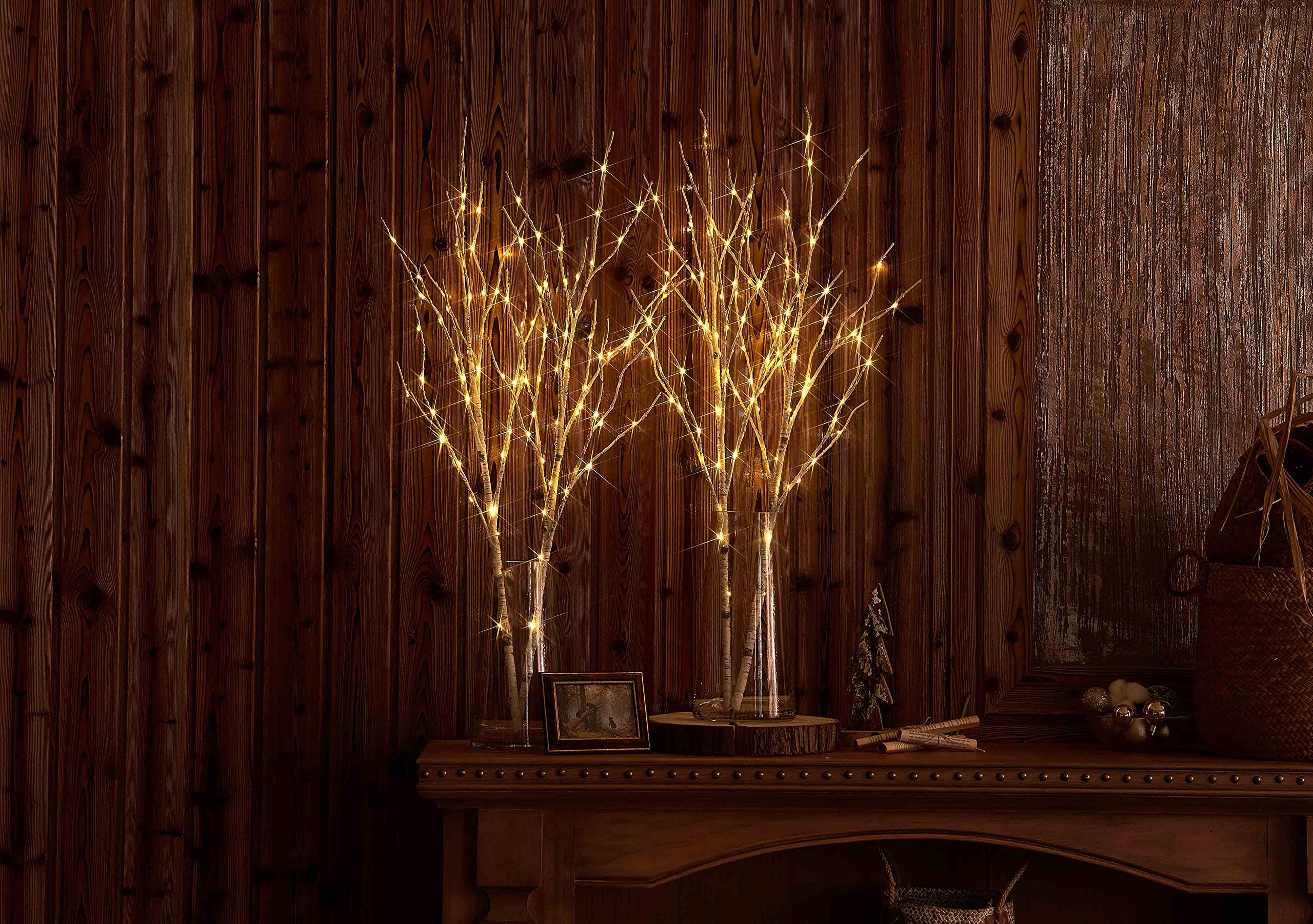 Hairui Lot de 2 branches lumineuses à piles Lot de 2.