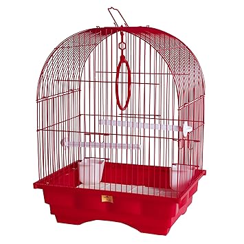 small cage for parrot