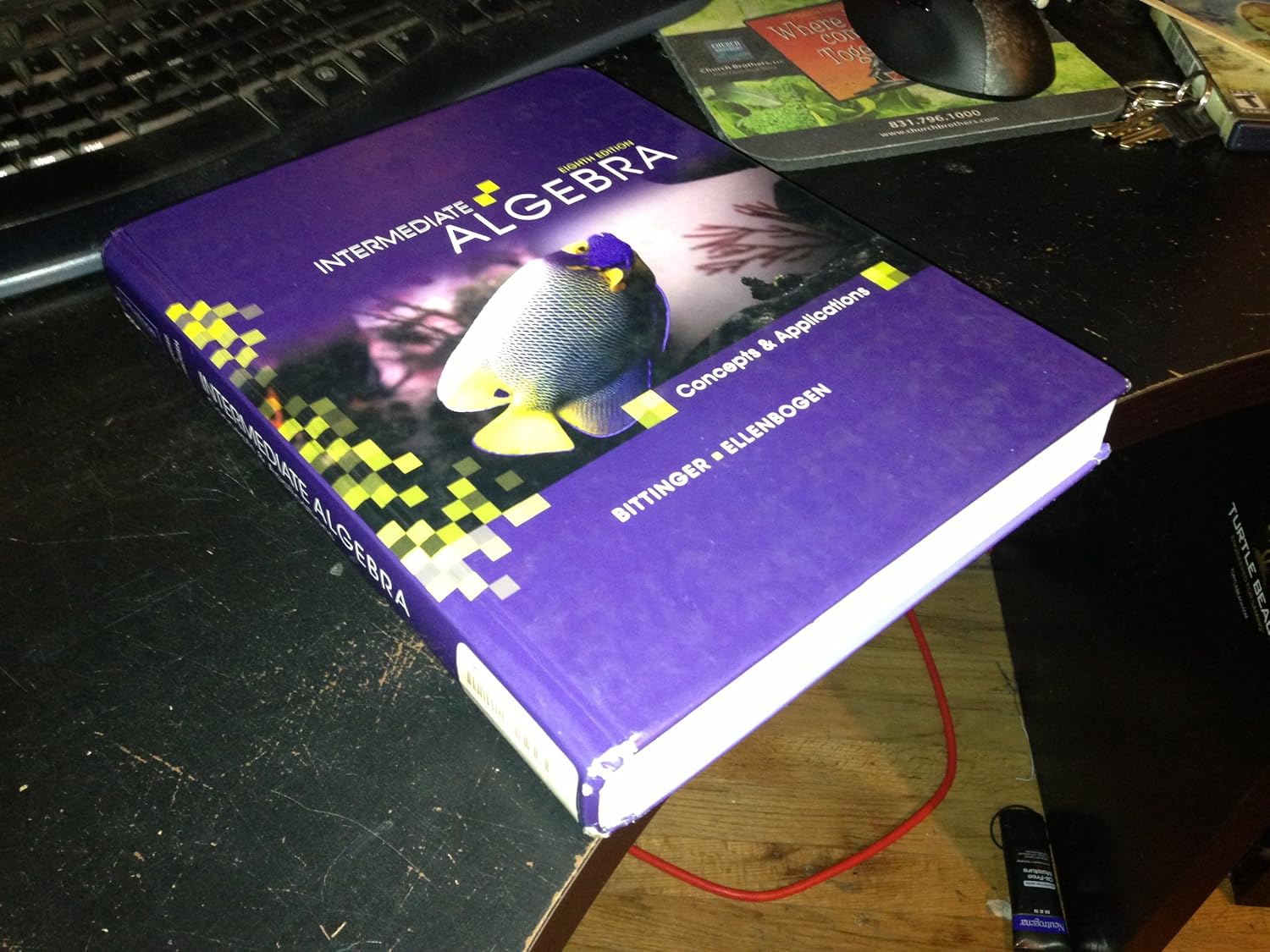 Intermediate Algebra: Concepts and Applications (8th Edition) (The Bittinger Concepts and Applications Series)