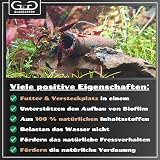 Ver la foto 6