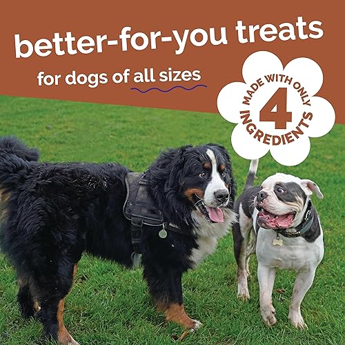 Miniatura 5 de Fruitables Golosinas para perros Bocadillos enteros Bisonte a la parrilla y golosinas para perros Golosinas saludables para perros 5 onzas