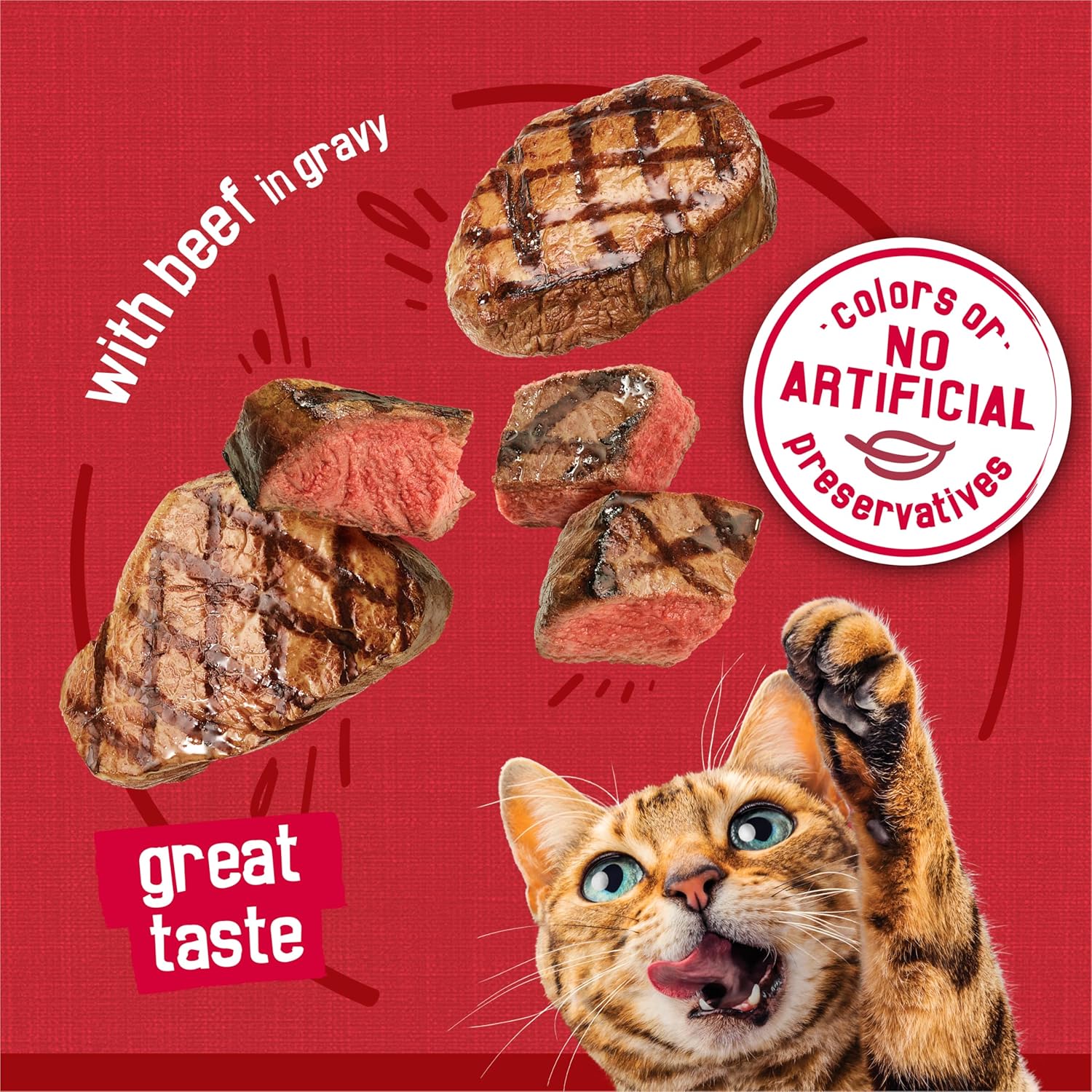 Purina Friskies Prime Filets with Beef in Wet Cat Food Gravy - (Pack of 24) 5.5 oz. Cans