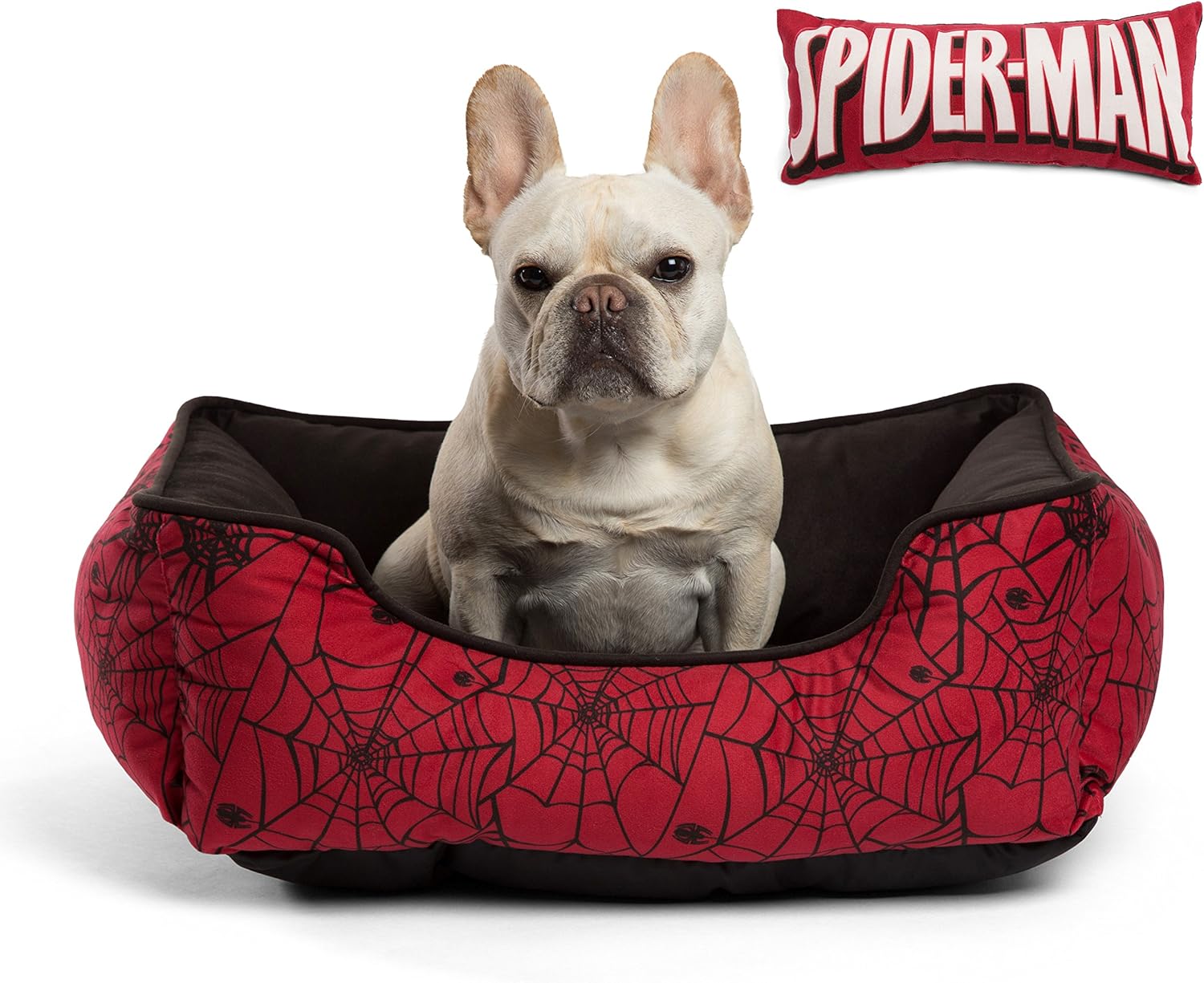 spider cat bed