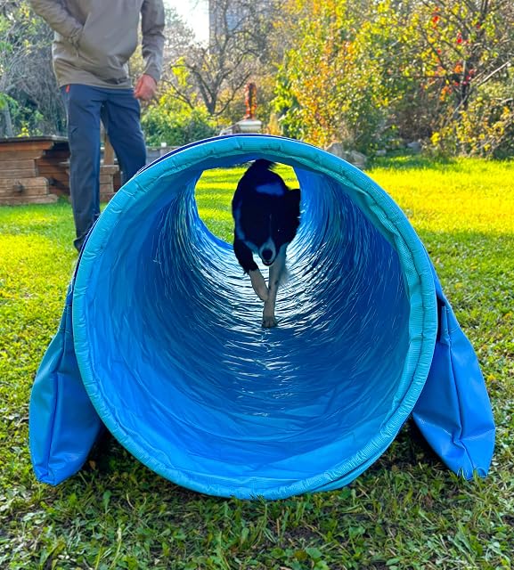 Foto 2 de 8 de Callieway® Dog Agility Tunnel - Túnel de agilidad para perros (incluye sacos de arena incluidos), color azul…