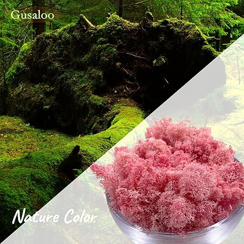 Miniatura 2 de Musgo preservado de musgo para plantas en maceta, musgo de reno verde fresco natural para manualidades, decoración de pared floral, centros de mesa,