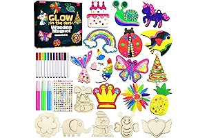 Genuine Wooden Magnets Painting Kit for Kids