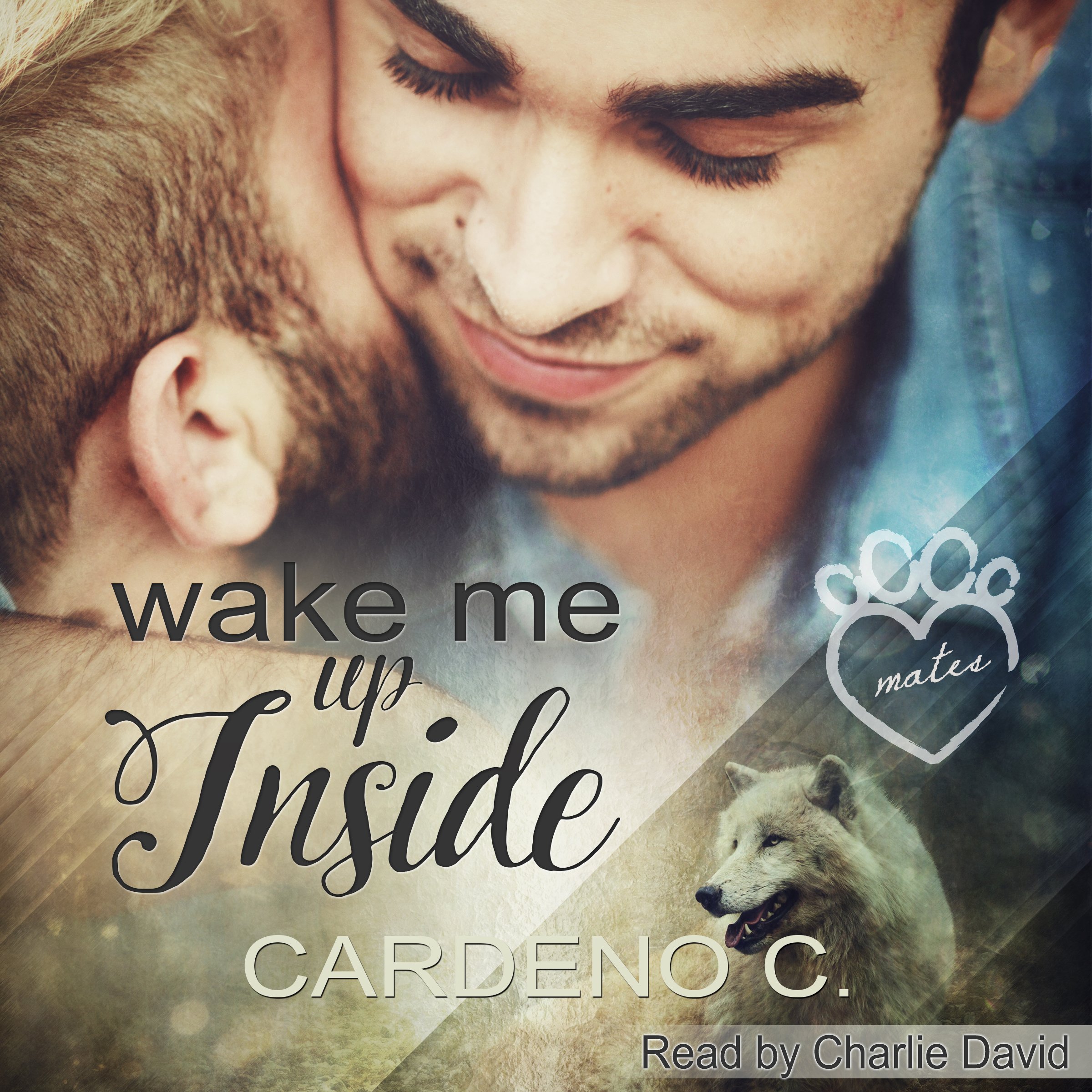 Cover art for Wake Me Up Inside