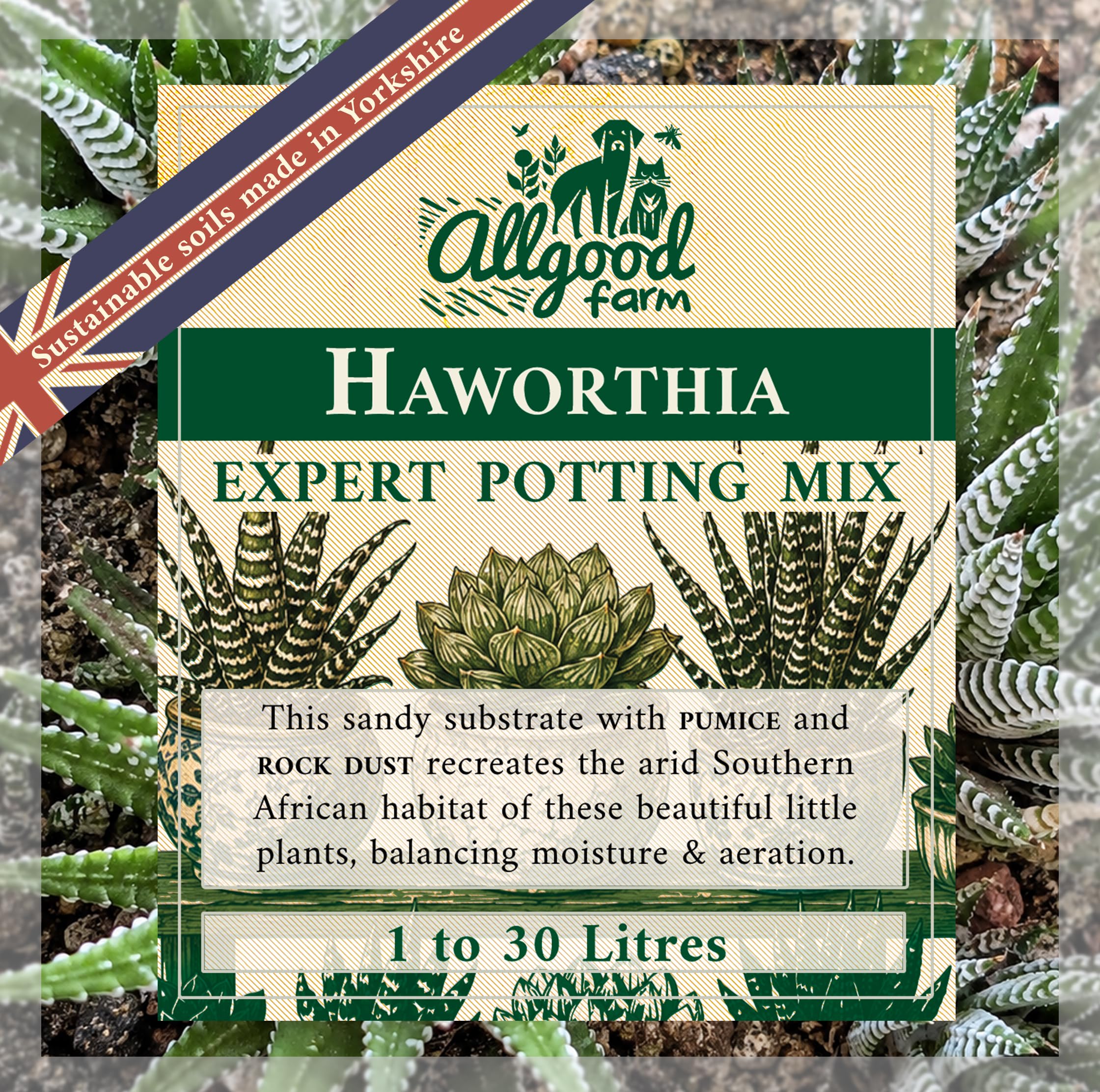 Allgood Farm Haworthia Soil - 1 to 30 Litres Expert Succulent Potting Soil Mix (1 Litre)
