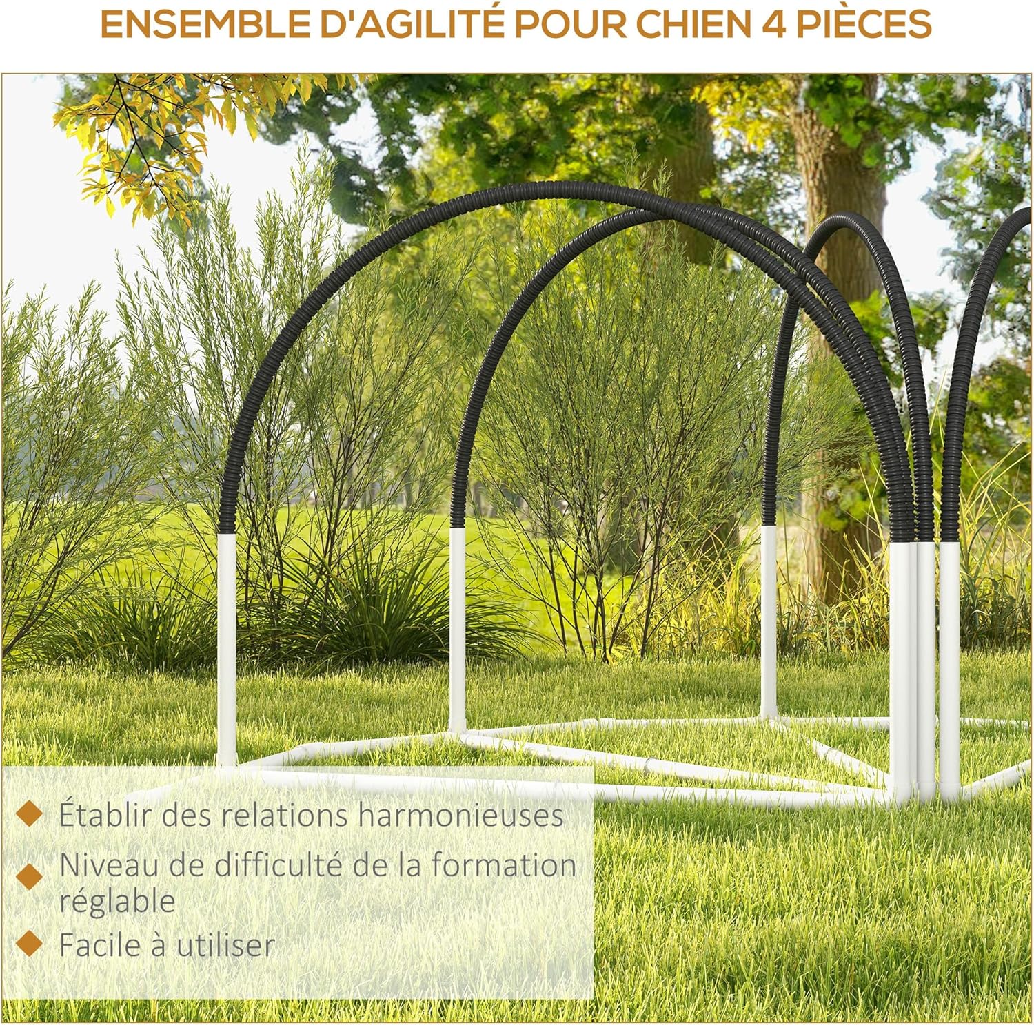 Chien qui s’entraîne avec le kit agilité PawHut