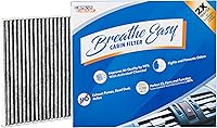 Vista 23 de Filtro de cabina AC y calefactor de defensa contra olores Spearhead Breathe Easy Compatible con 08-11 Accent, 07-16 Elantra/13-14 Coupe/13-17 GT