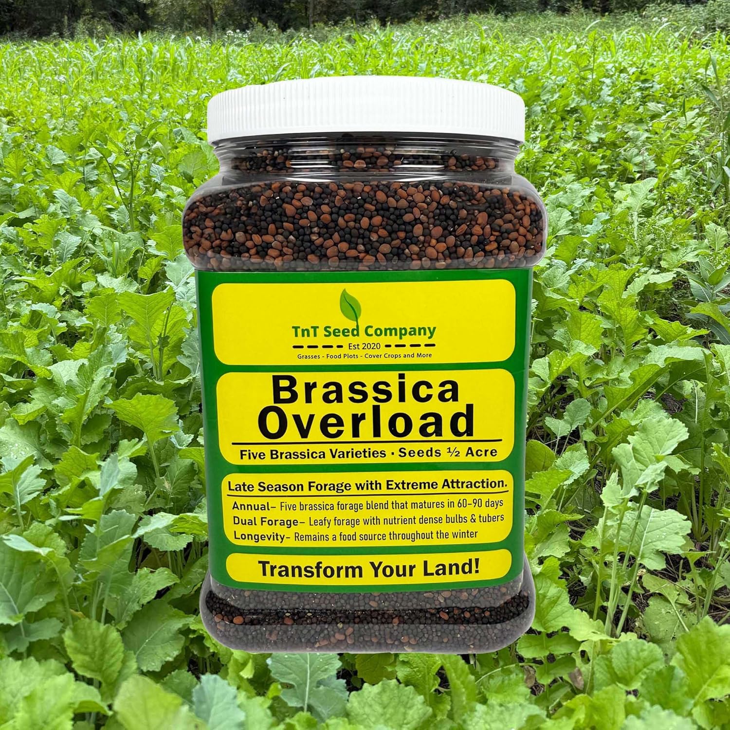 Brassica Overload Deer Food Plot Seed Mix, 1/2 Acre, Fall Food Plot Seed Blend, Daikon Radish, Purple Top Turnips, Rapeseed, Kale, Hybrid Brassica, Fall Planting