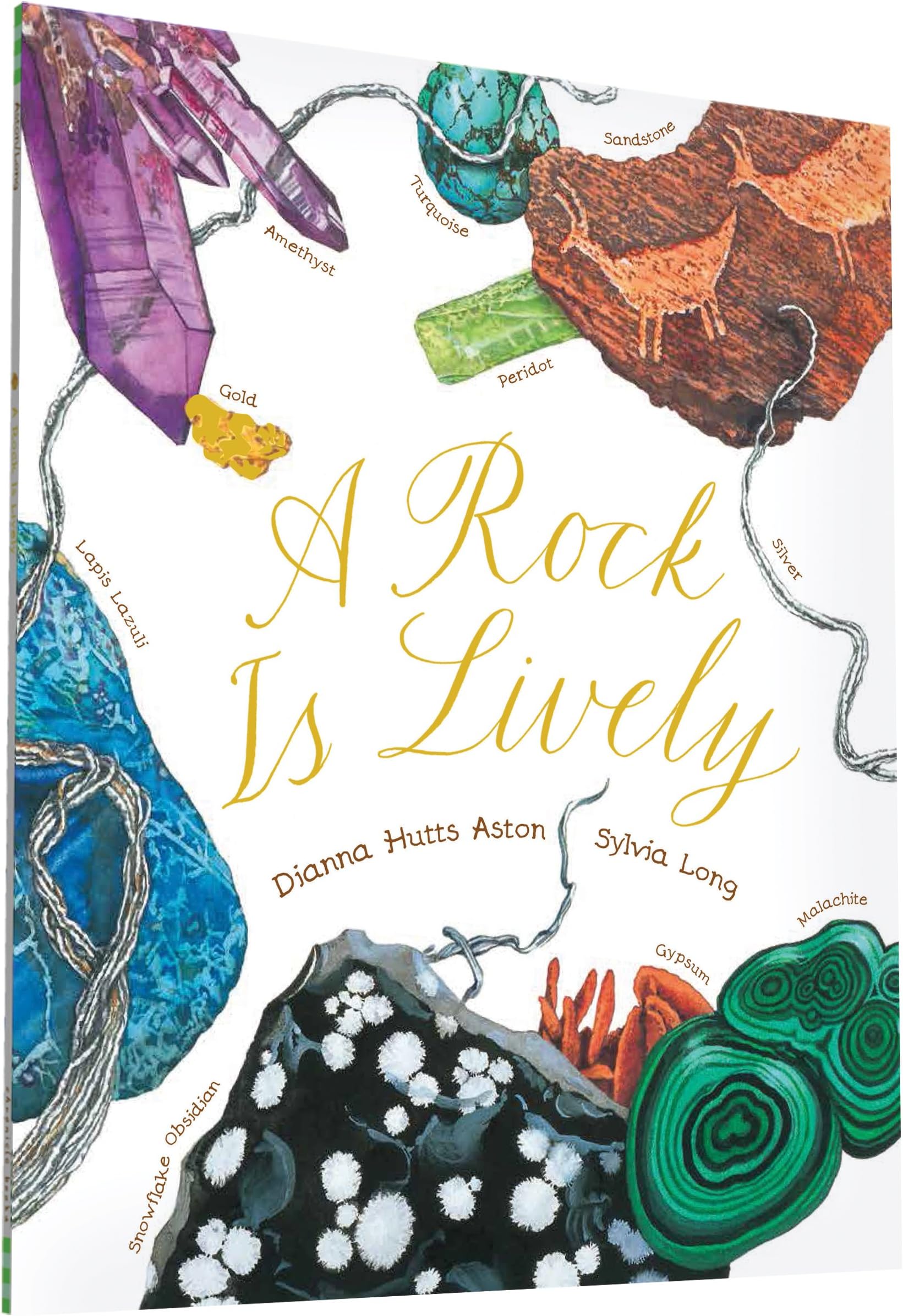 Chronicle Books A Rock Is Lively