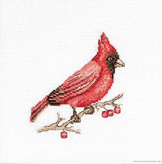 Luca-S Counted Cross Stitch kit Cardinal 10x9cm
