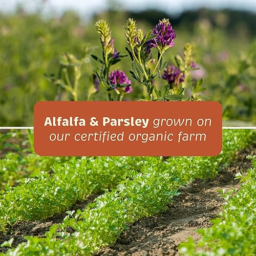 Miniatura 7 de Spirited Paw Dental para gatos y perros - Polvo de soporte dental para perros y gatos - Suplementos de salud dental para mascotas con calcio y apoyo