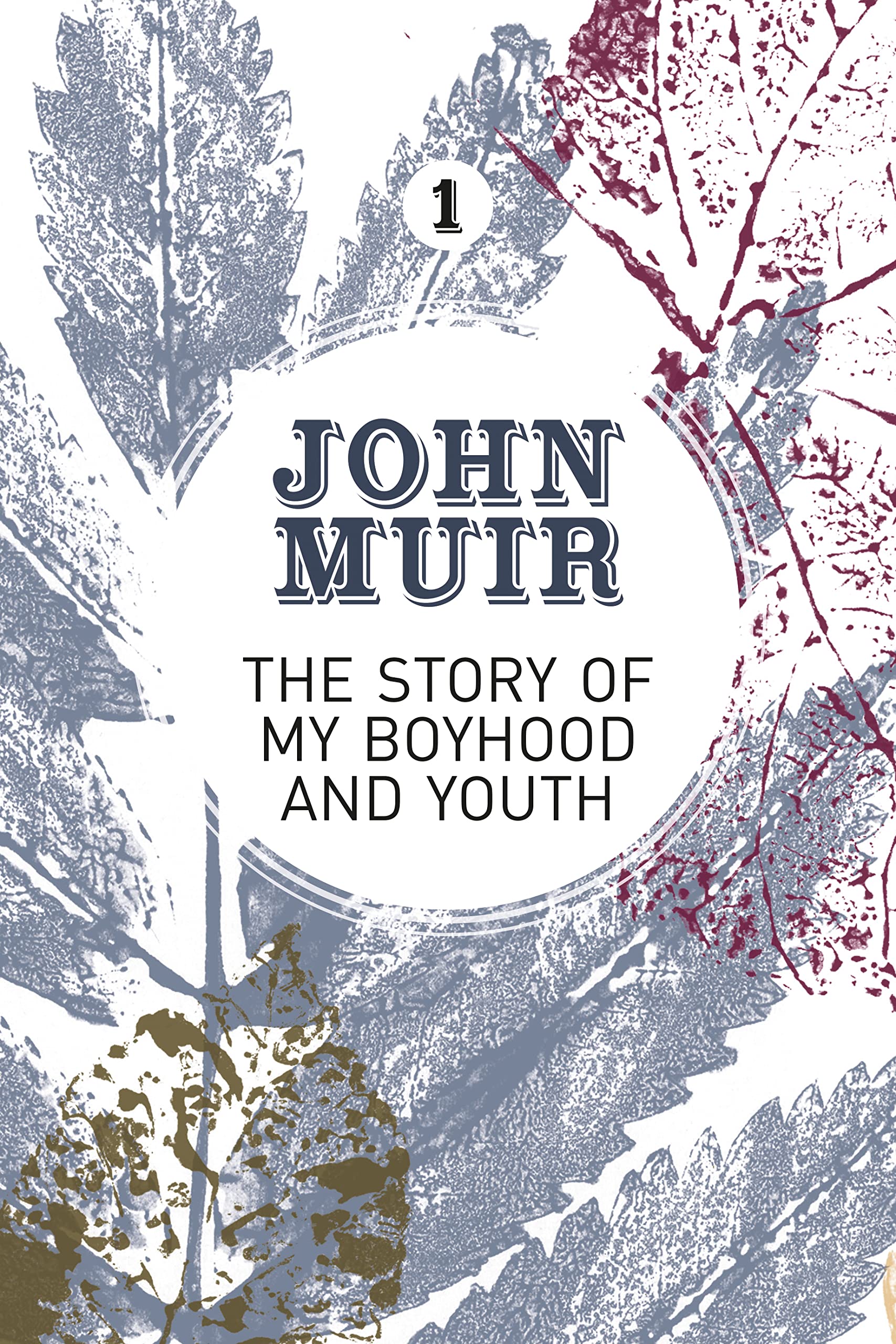 The Story of My Boyhood and Youth: An early years biography of a pioneering environmentalist: 1 (John Muir: The Eight Wilderness-Discovery Books)