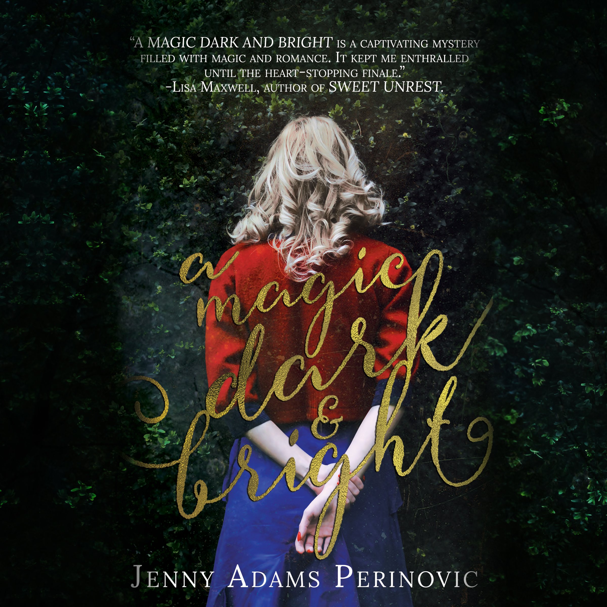 Cover art for A Magic Dark and Bright