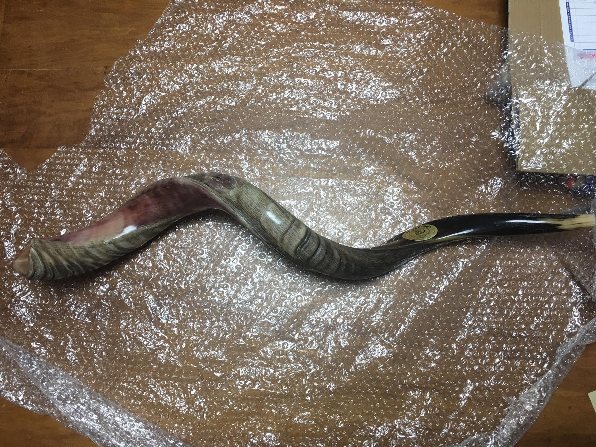 Yemenit Kudu Horn Schofar 71,1-78,7 cm, Koscher hergestellt in Israel.