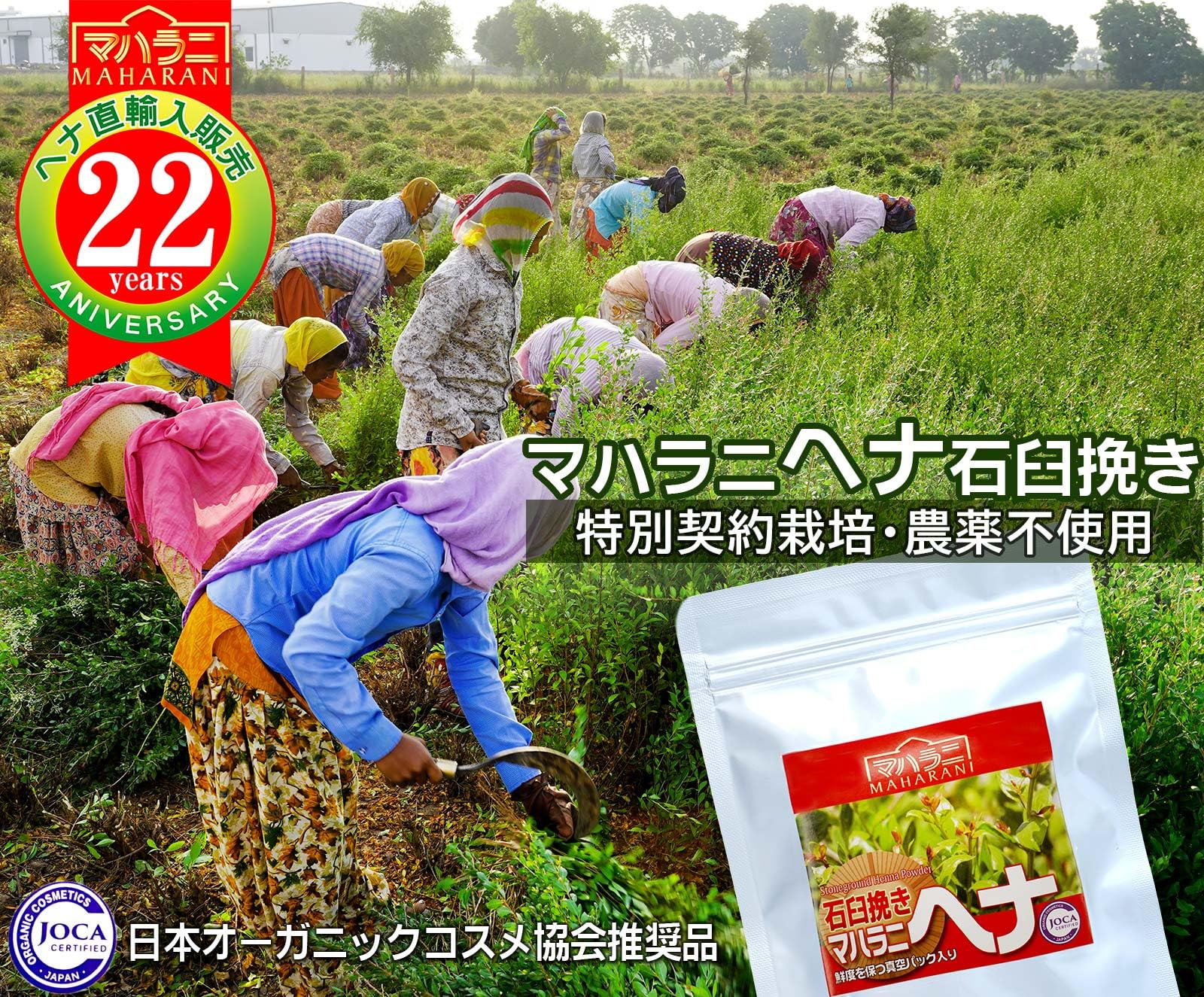 Amazon.co.jp: マハラニ ヘナ 石臼挽き 真空パック (100g)JOCA推奨品